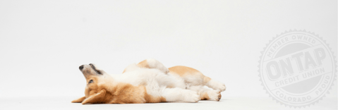Insure What You Love: The Importance of Protecting What Matters Most